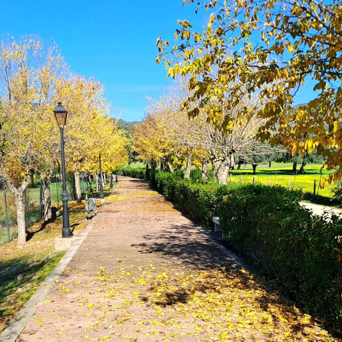 Casa El Frenazo Guest House Garciotum ภายนอก รูปภาพ